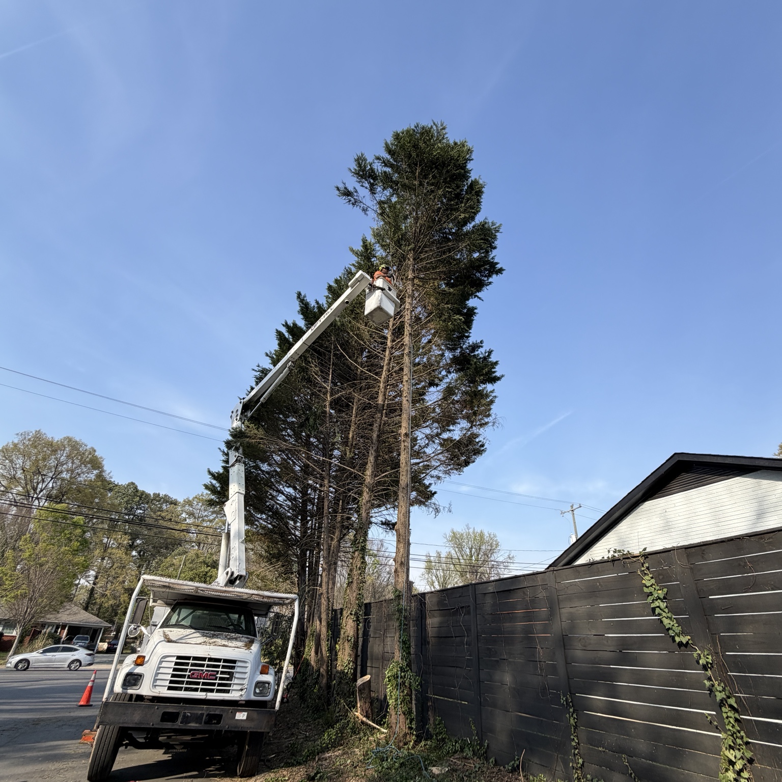 Bucket truck tree removal work by Tree Amigos in Charlotte, North Carolina